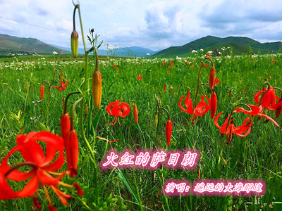 火红的萨日朗