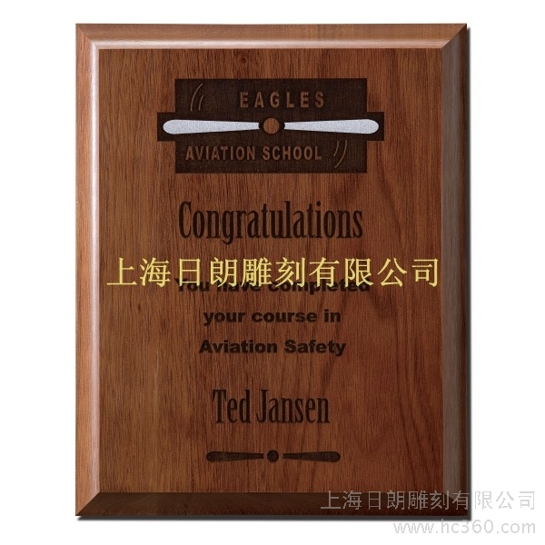 公司产品
